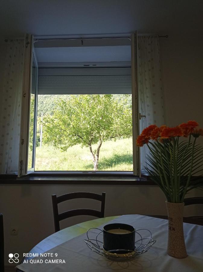 Studio Apartman Sonja Otocac Luaran gambar
